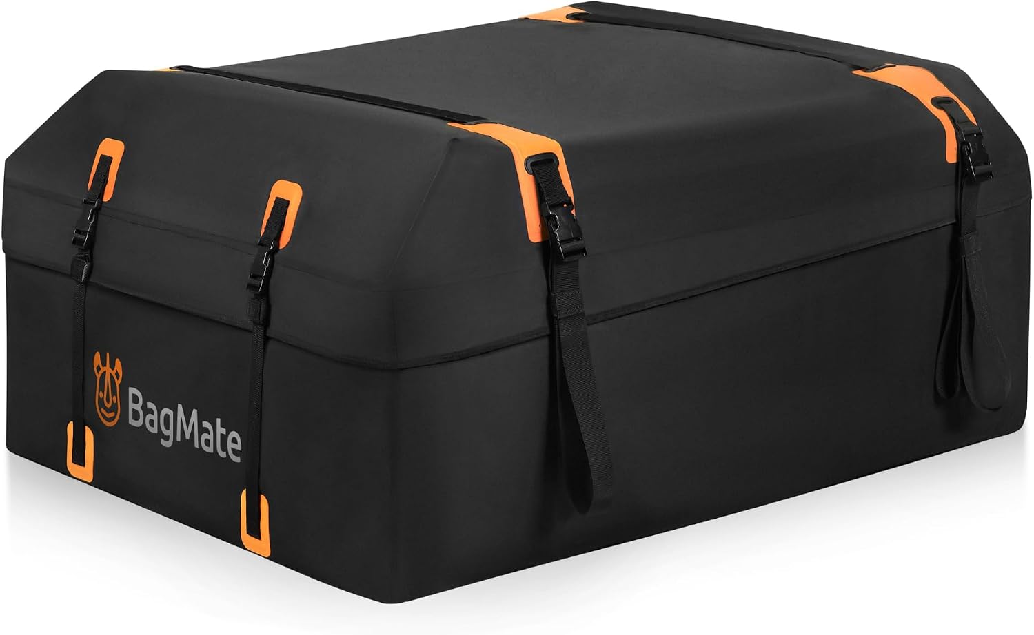 Bagmate 19 Cu Ft Roof Cargo Carrier